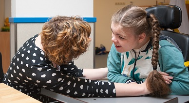 Как составить индивидуальную программу развития для детей с ОВЗ