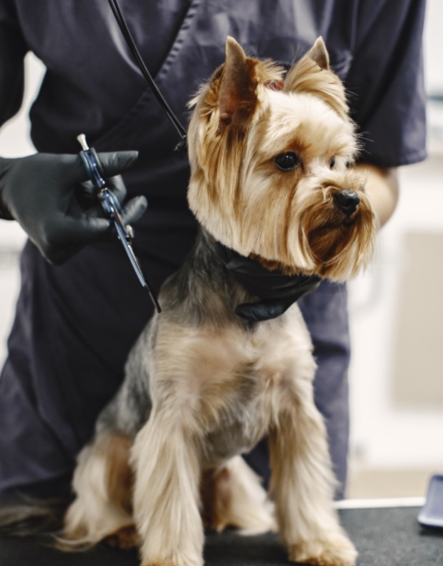 Изображение 207