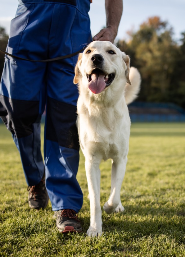 Изображение 201