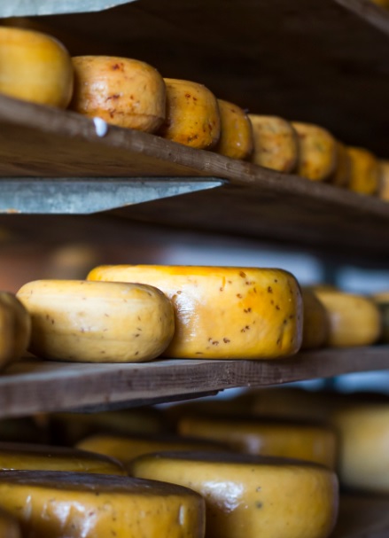 Изображение 211