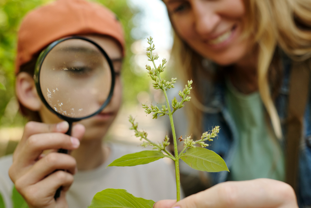 Чем занимается репетитор по биологии и сколько зарабатывает
