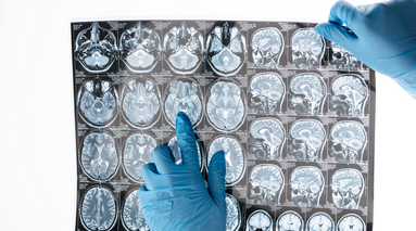 Изображение новости 159