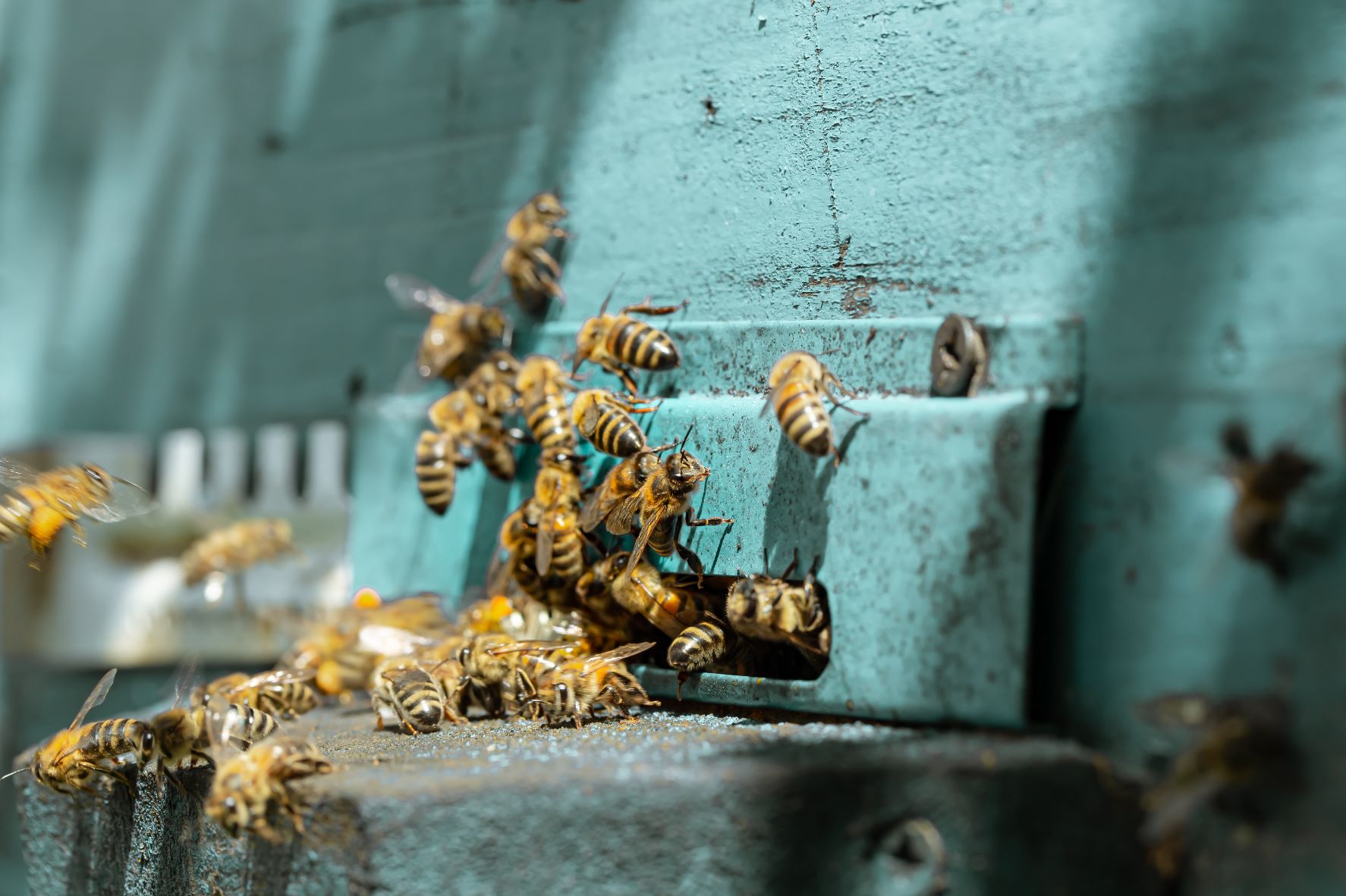 Изображение новости 643